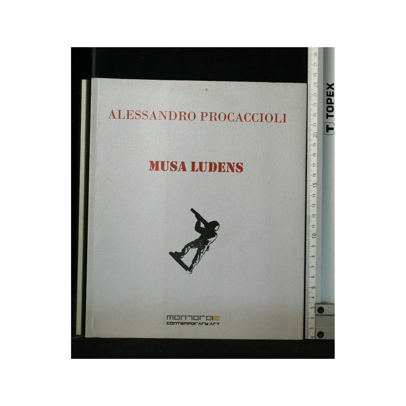 MUSA LUDENS