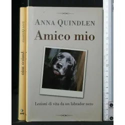 AMICO MIO