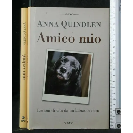 AMICO MIO