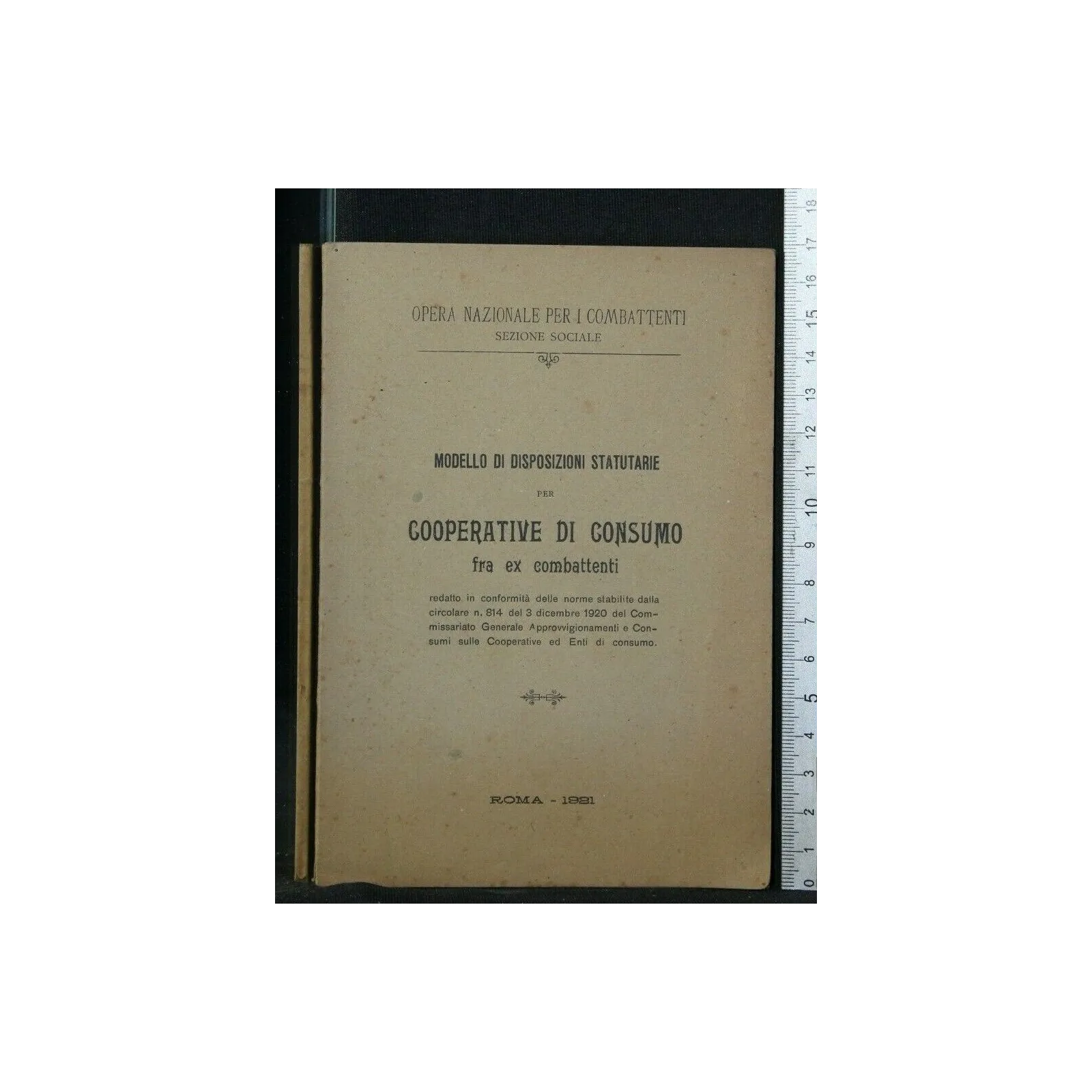 MODELLO DI DISPOSIZIONI STATUTARIE PER COOPERATIVE DI CONSUMO
