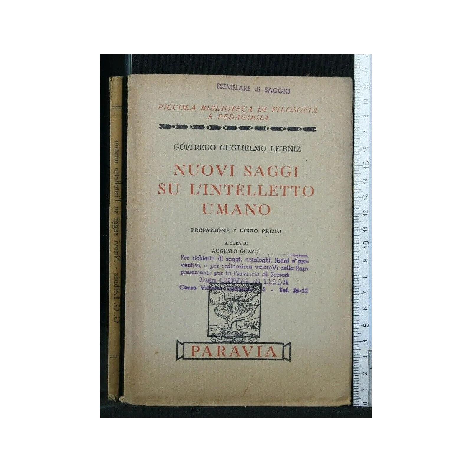NUOVI SAGGI SU L'INTELLETTO UMANO