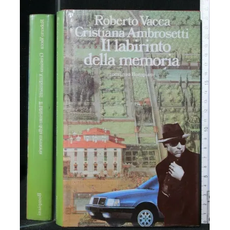 IL LABIRINTO DELLA MEMORIA