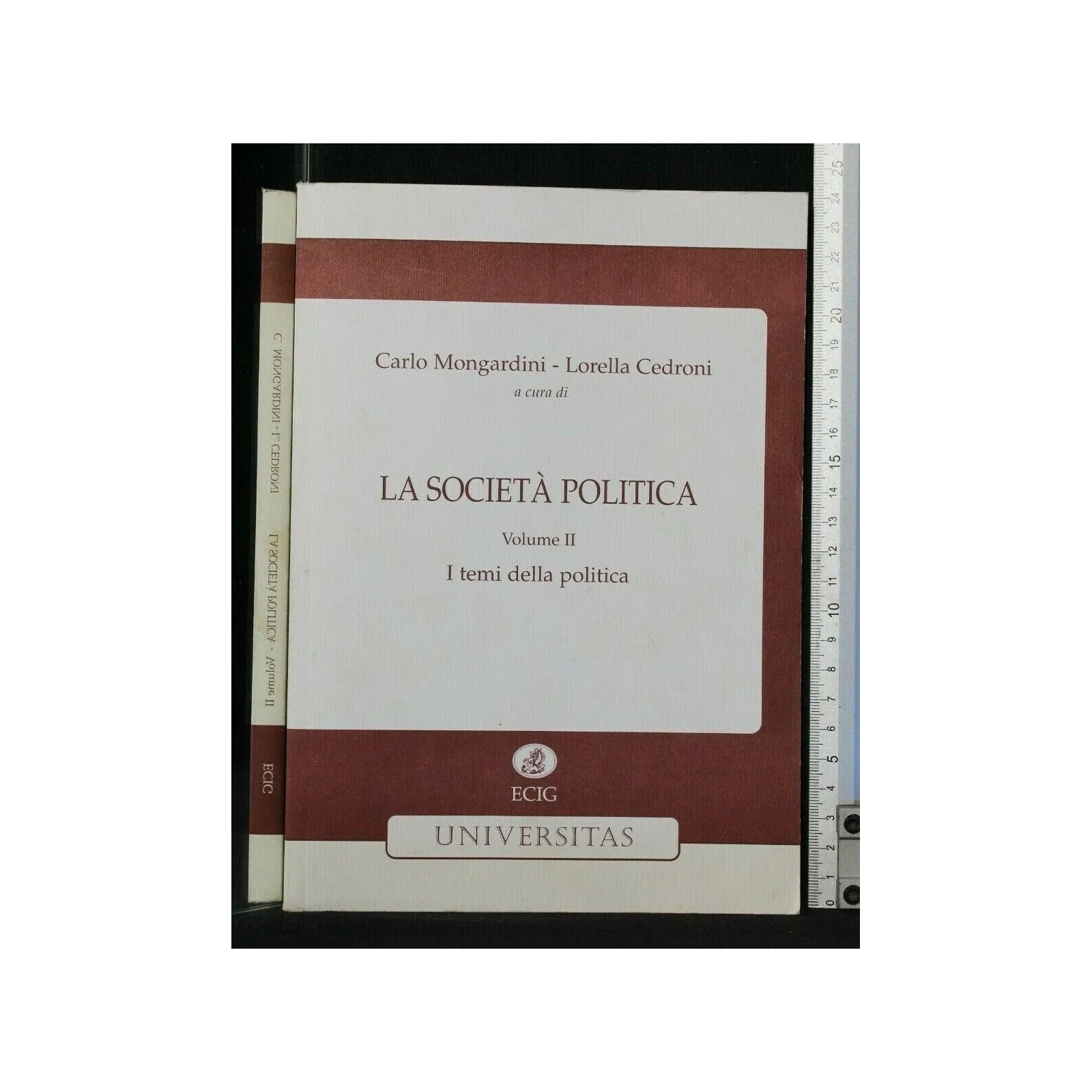 LA SOCIETA' POLITICA I TEMI DELLA POLITICA VOL. 2