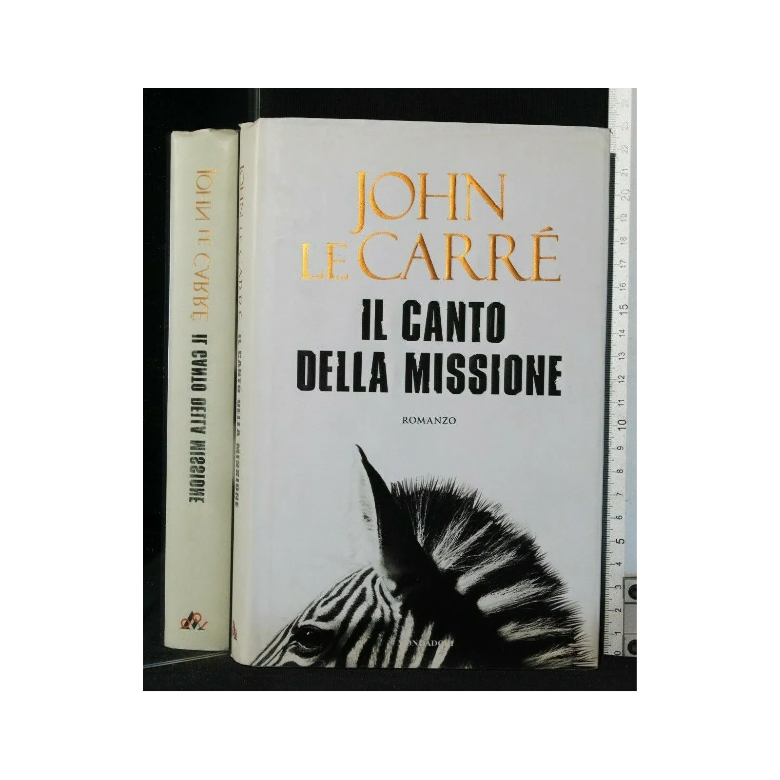IL CANTO DELLA MISSIONE