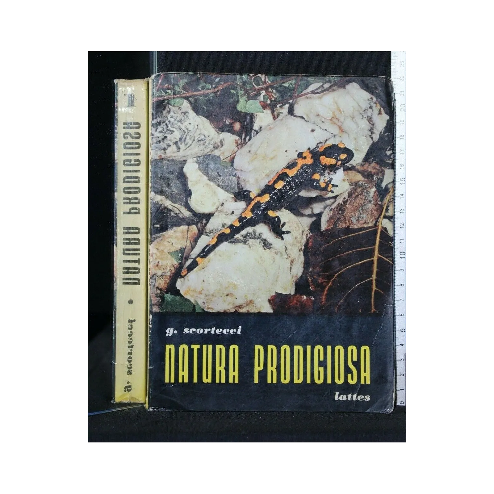NATURA PRODIGIOSA