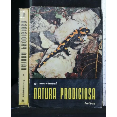NATURA PRODIGIOSA
