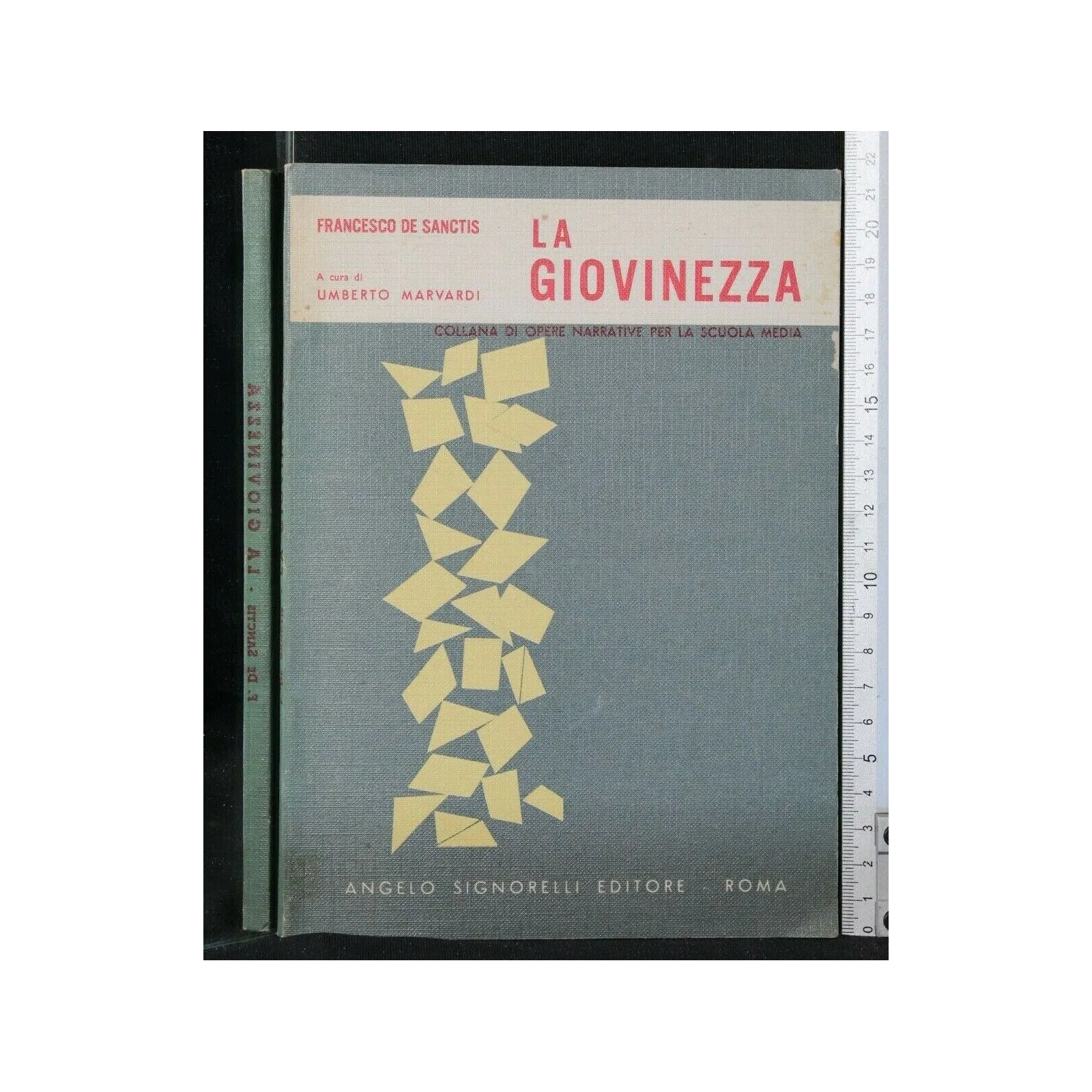 LA GIOVINEZZA