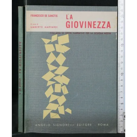 LA GIOVINEZZA