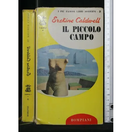 IL PICCOLO CAMPO