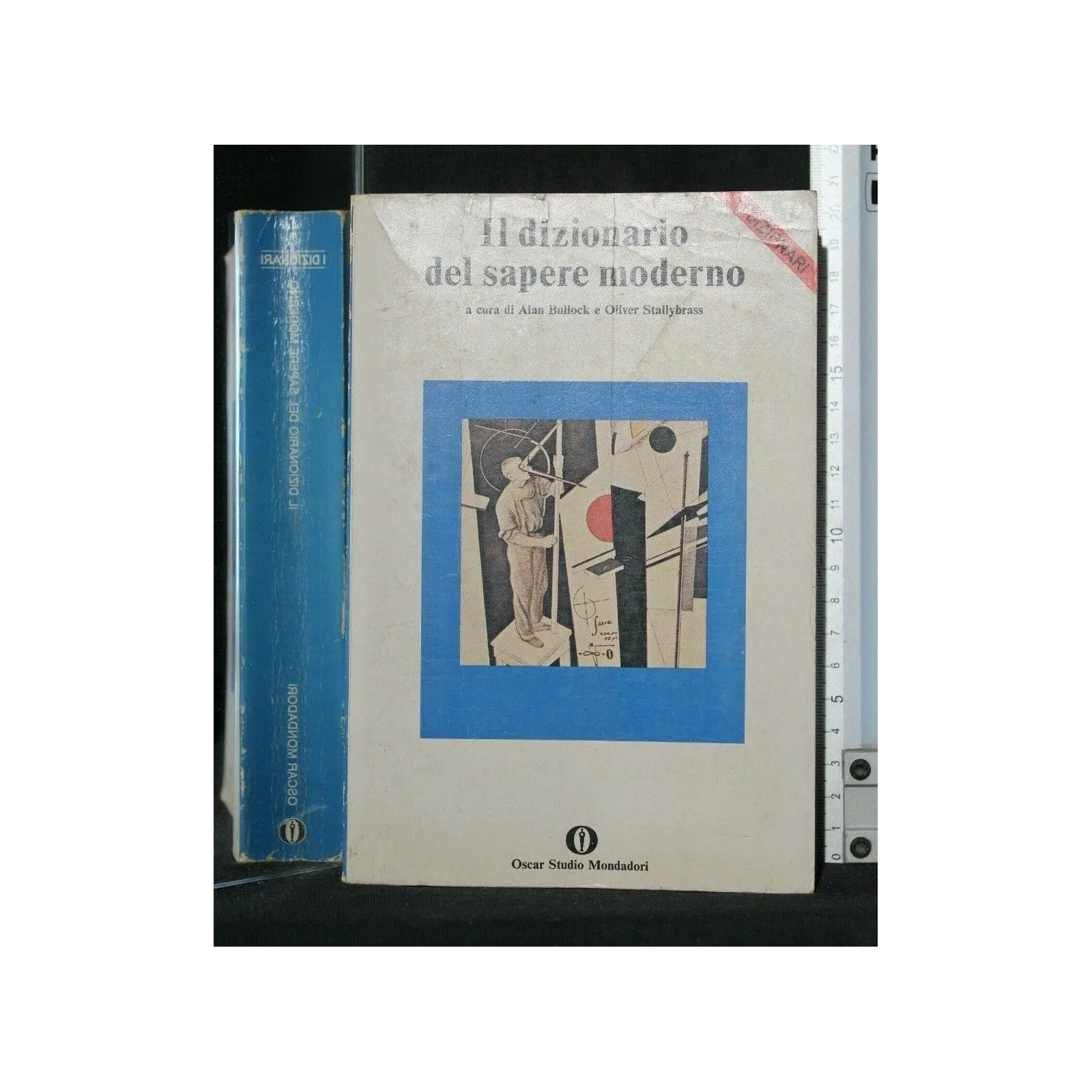 IL DIZIONARIO DEL SAPERE MODERNO