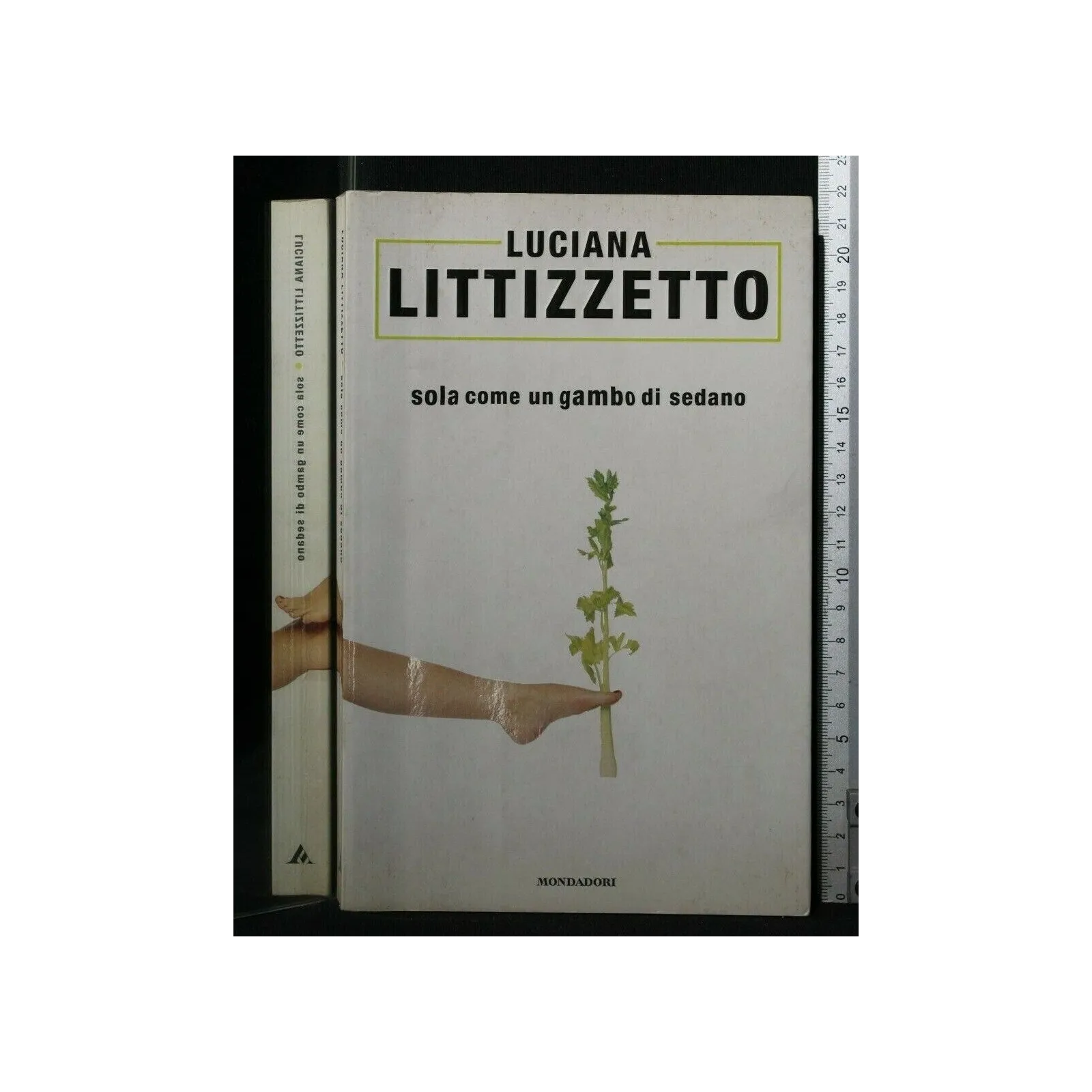 SOLA COME UN GAMBO DI SEDANO
