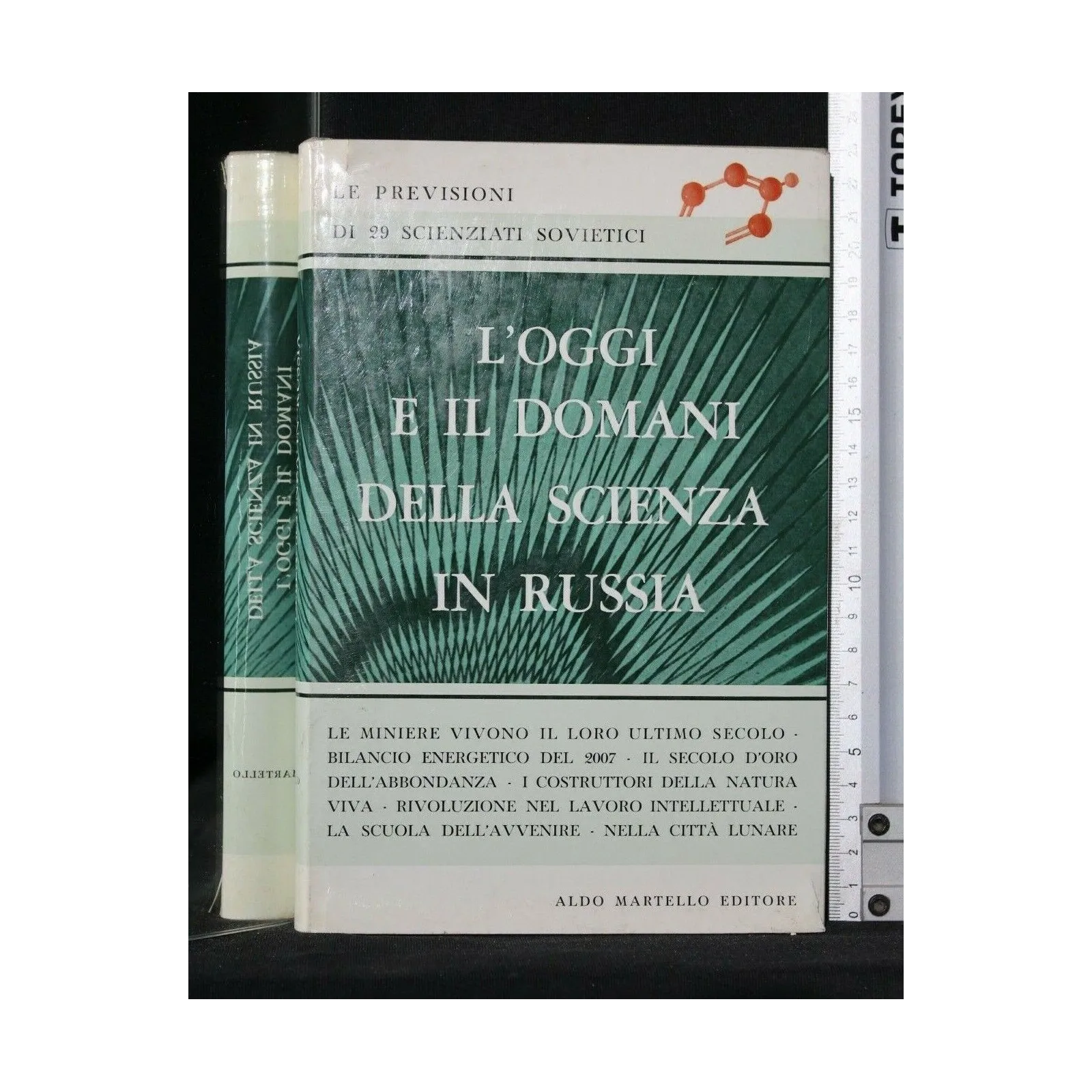 L'OGGI E IL DOMANI DELLA SCIENZA IN RUSSIA