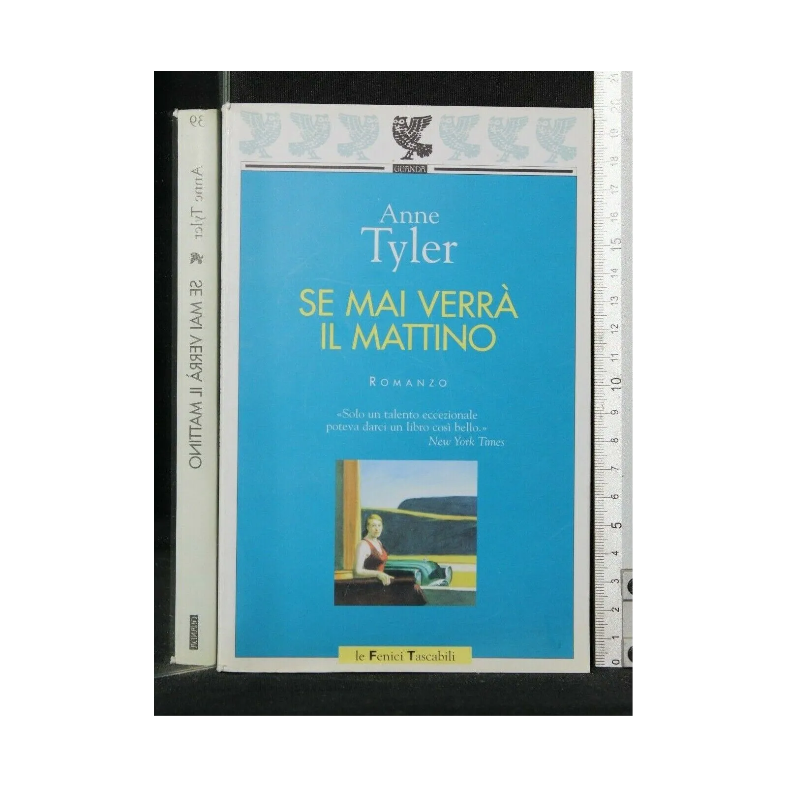 SE MAI VERRA' IL MATTINO