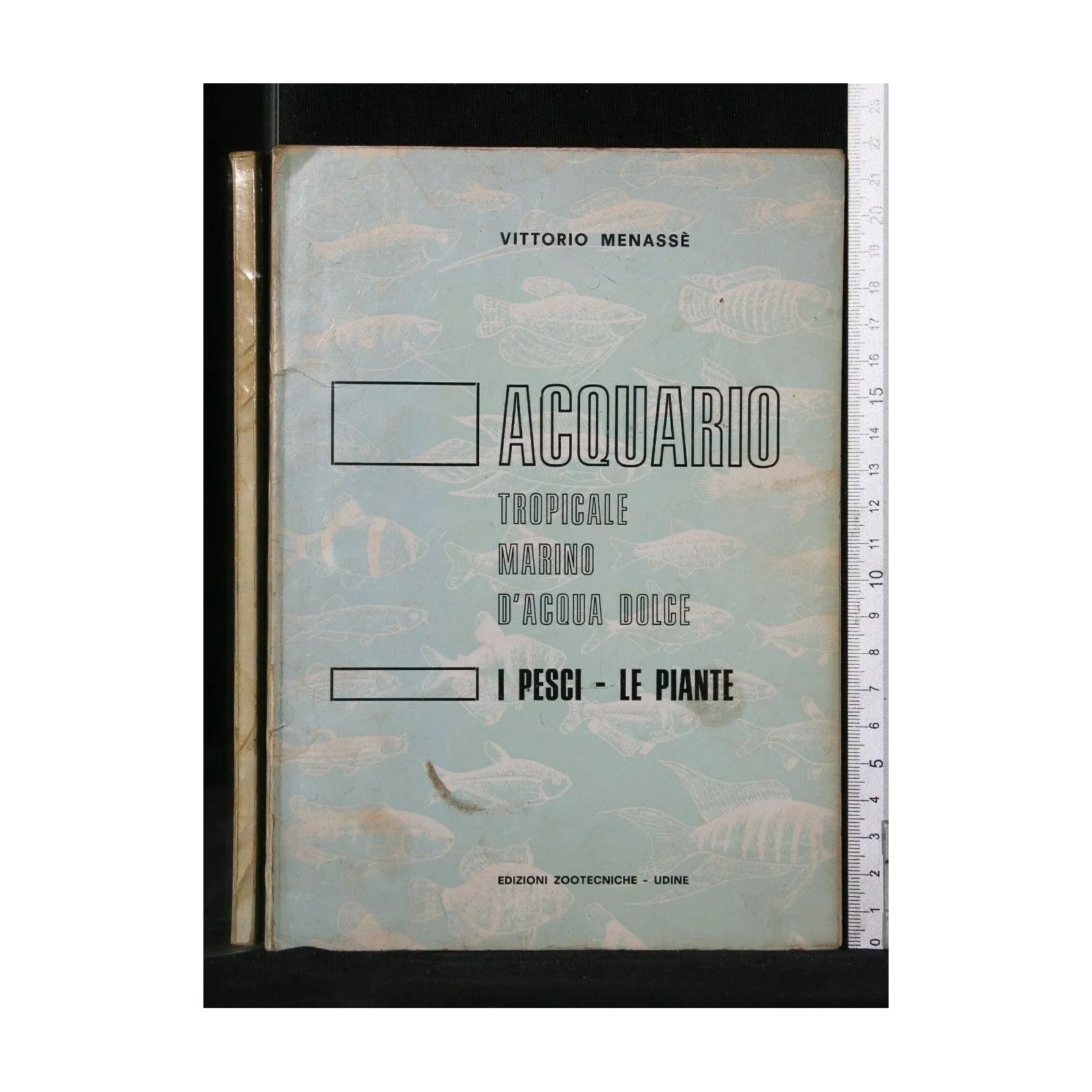 ACQUARIO I PESCI-LE PIANTE
