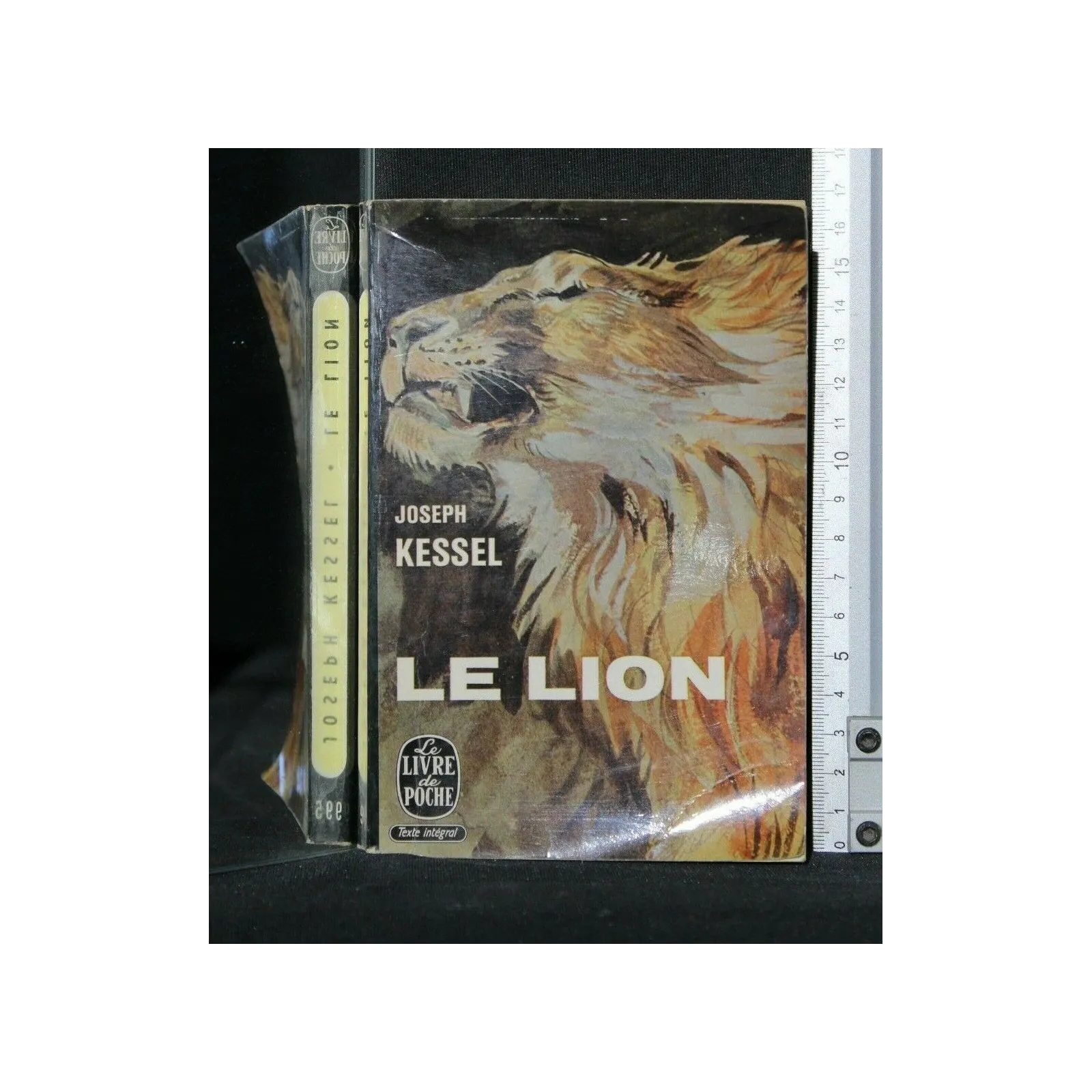 LE LION