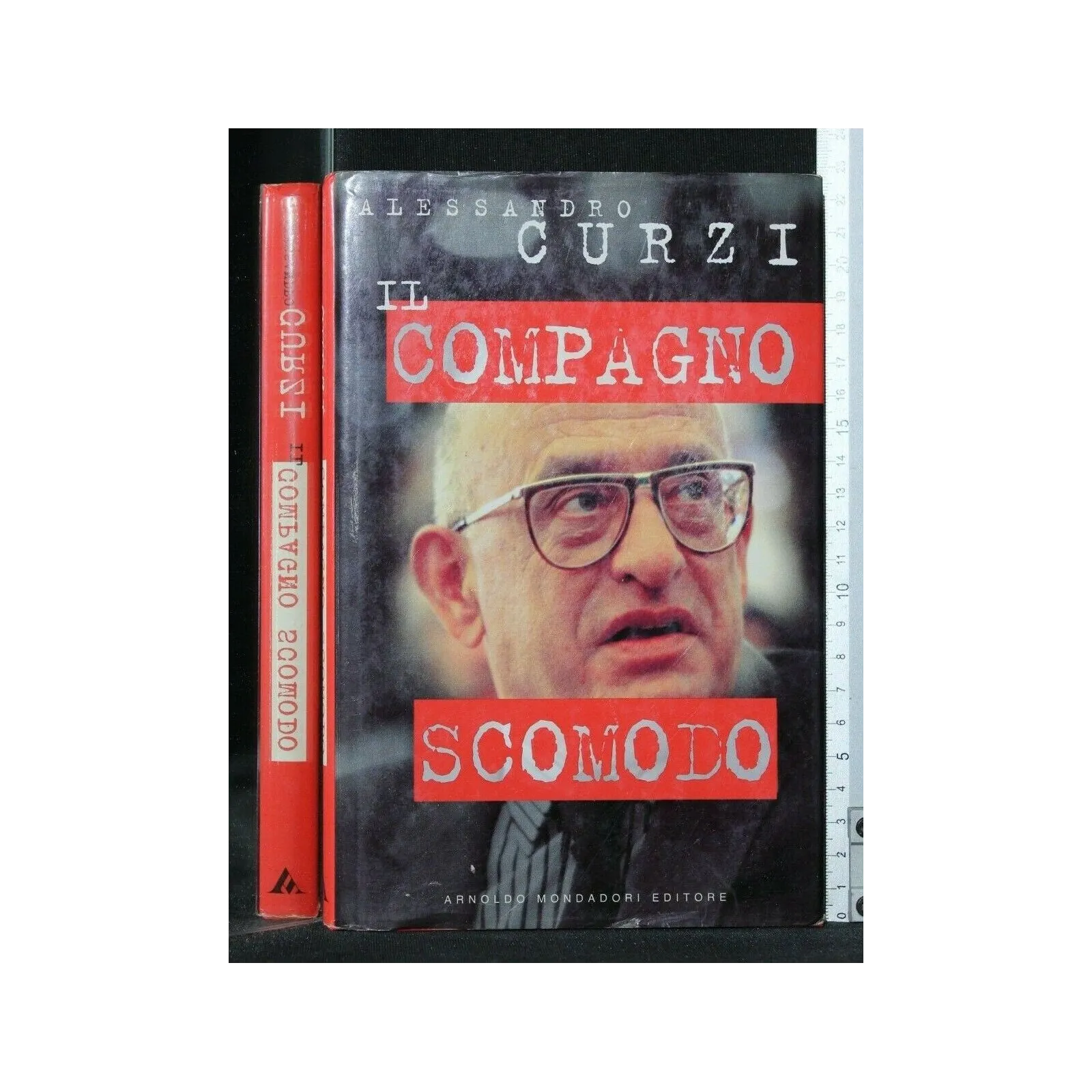 IL COMPAGNO SCOMODO