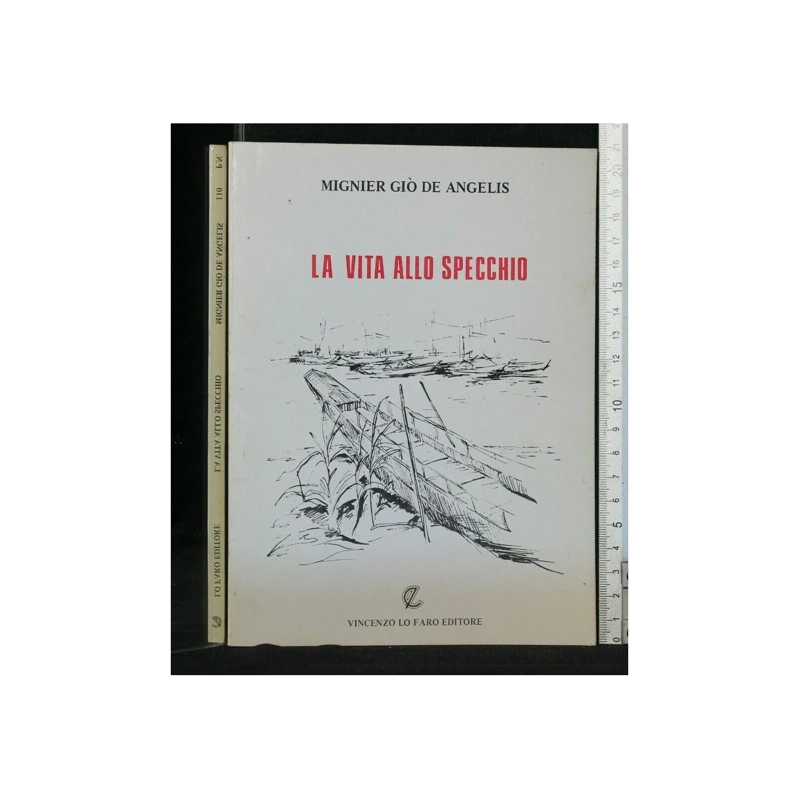 LA VITA ALLO SPECCHIO