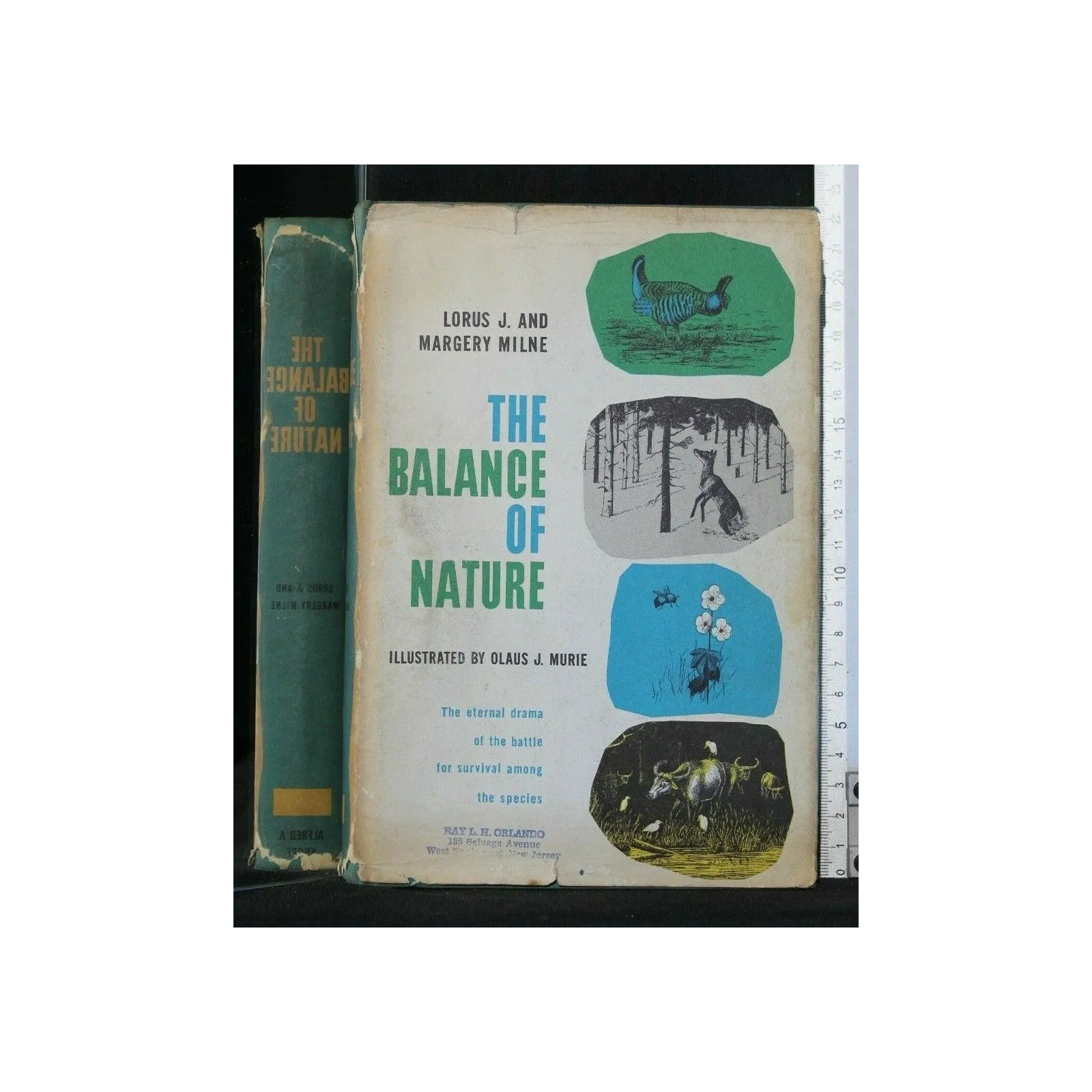THE BALANCE OF NATURE
