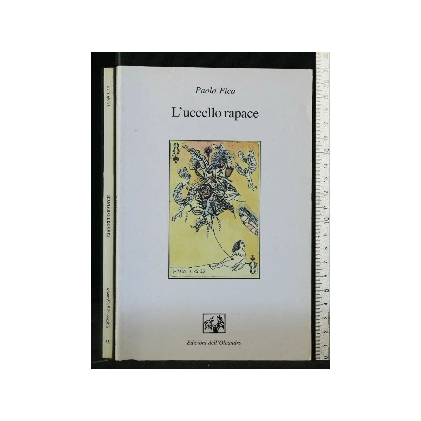L'UCCELLO RAPACE