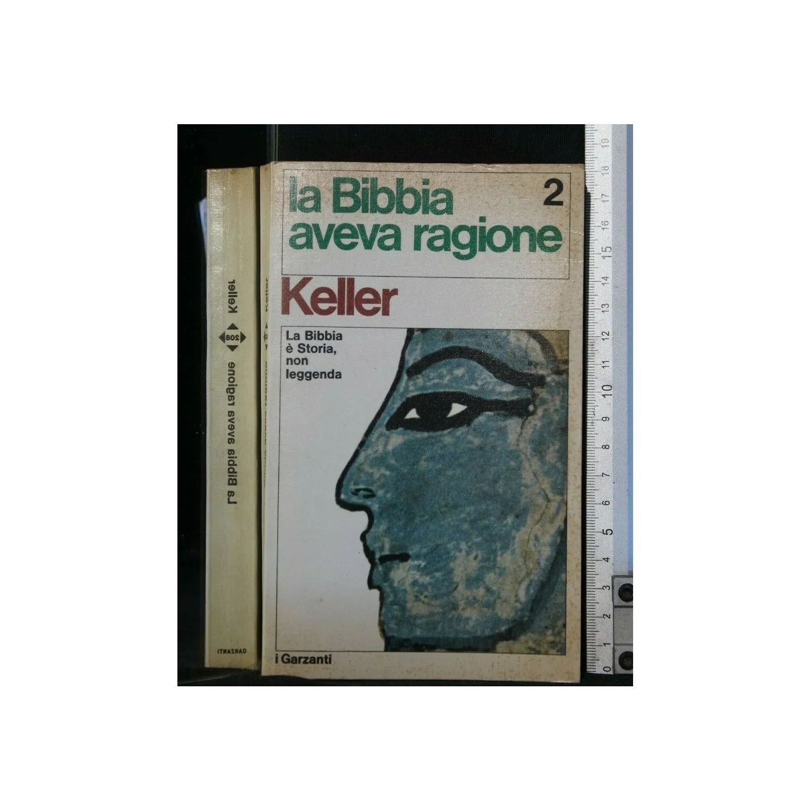 LA BIBBIA AVEVA RAGIONE VOL. 2