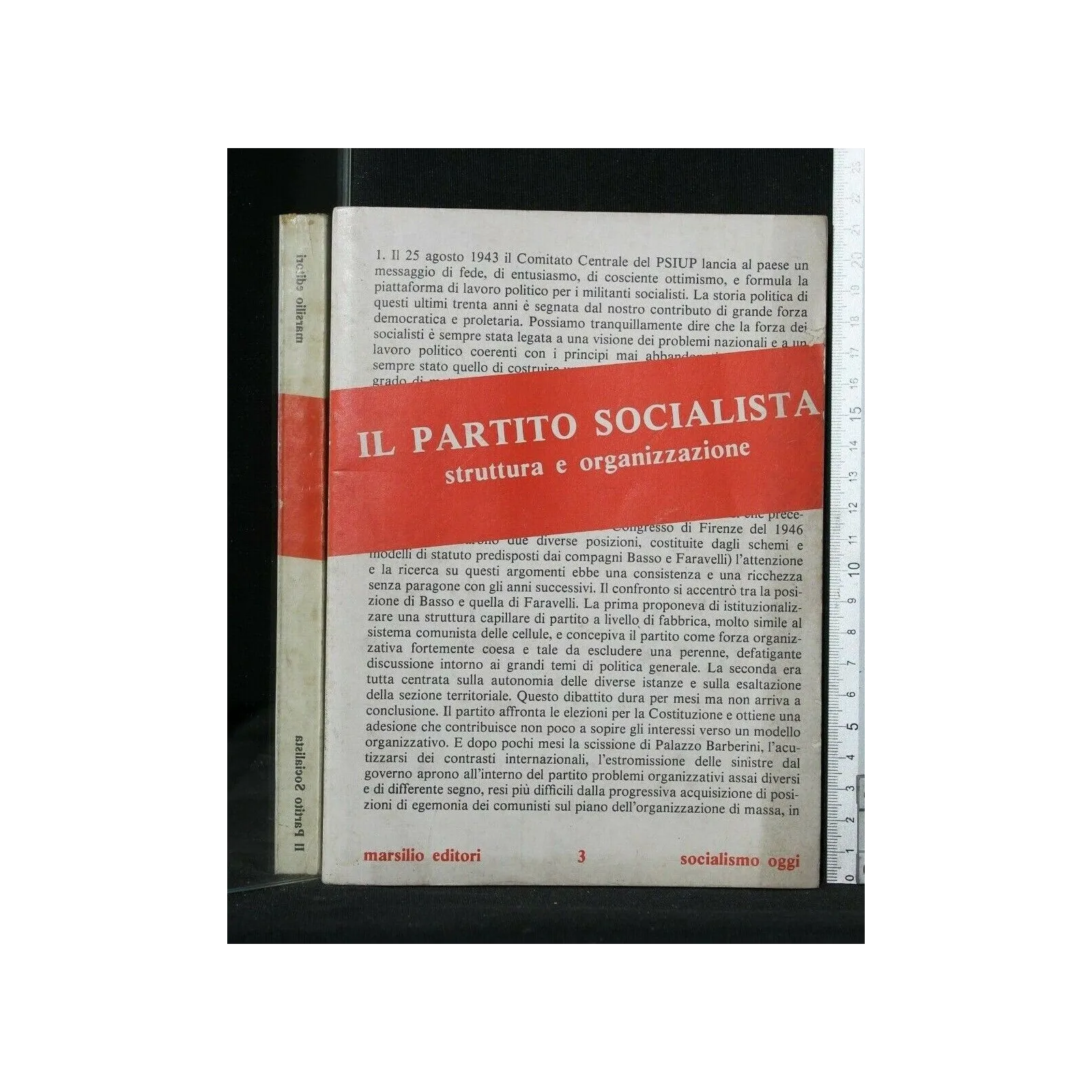 IL PARTITO SOCIALISTA STRUTTURA E ORGANIZZAZIONE