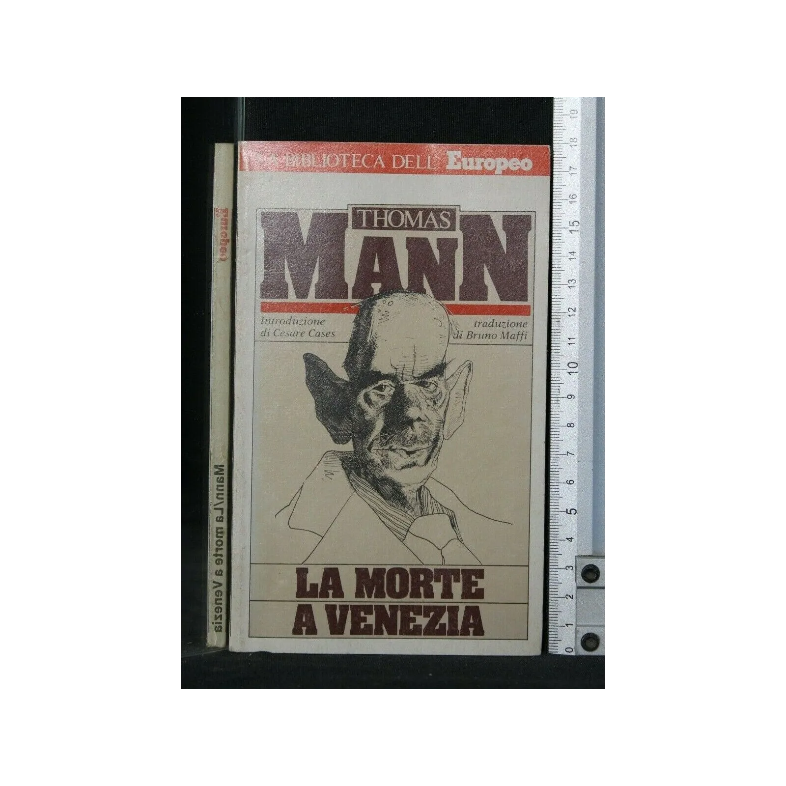LA MORTE A VENEZIA