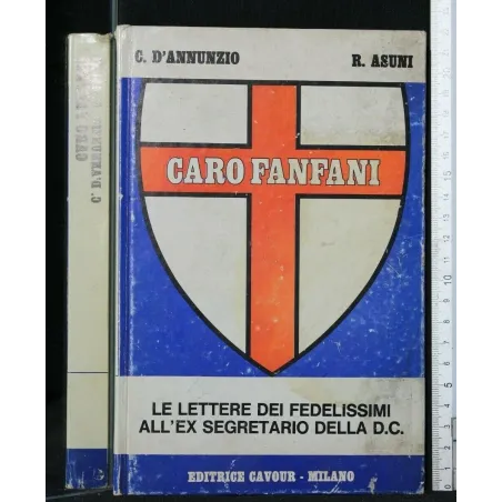 CARO FANFANI LE LETTERE DEI FEDELISSIMI ALL'EX SEGRETARIO DELLA