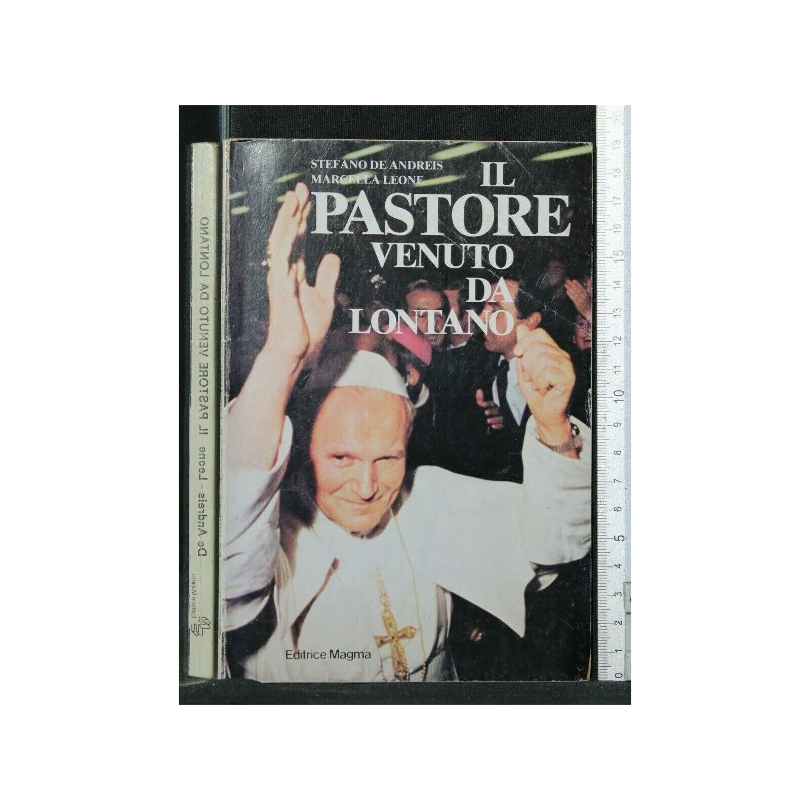 IL PASTORE VENUTO DA LONTANO