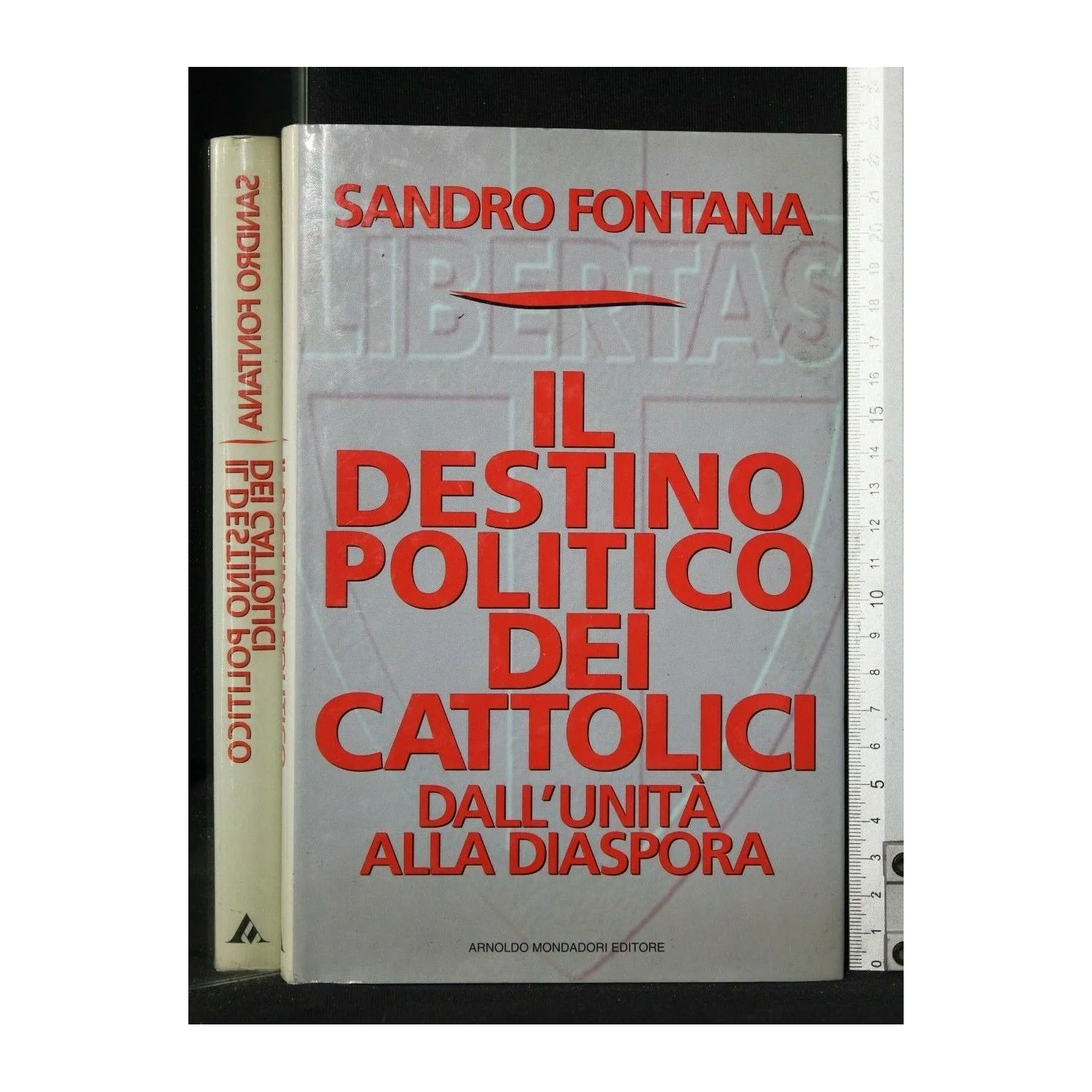 IL DESTINO POLITICO DEI CATTOLICI DALL'UNITA' ALLA DIASPORA