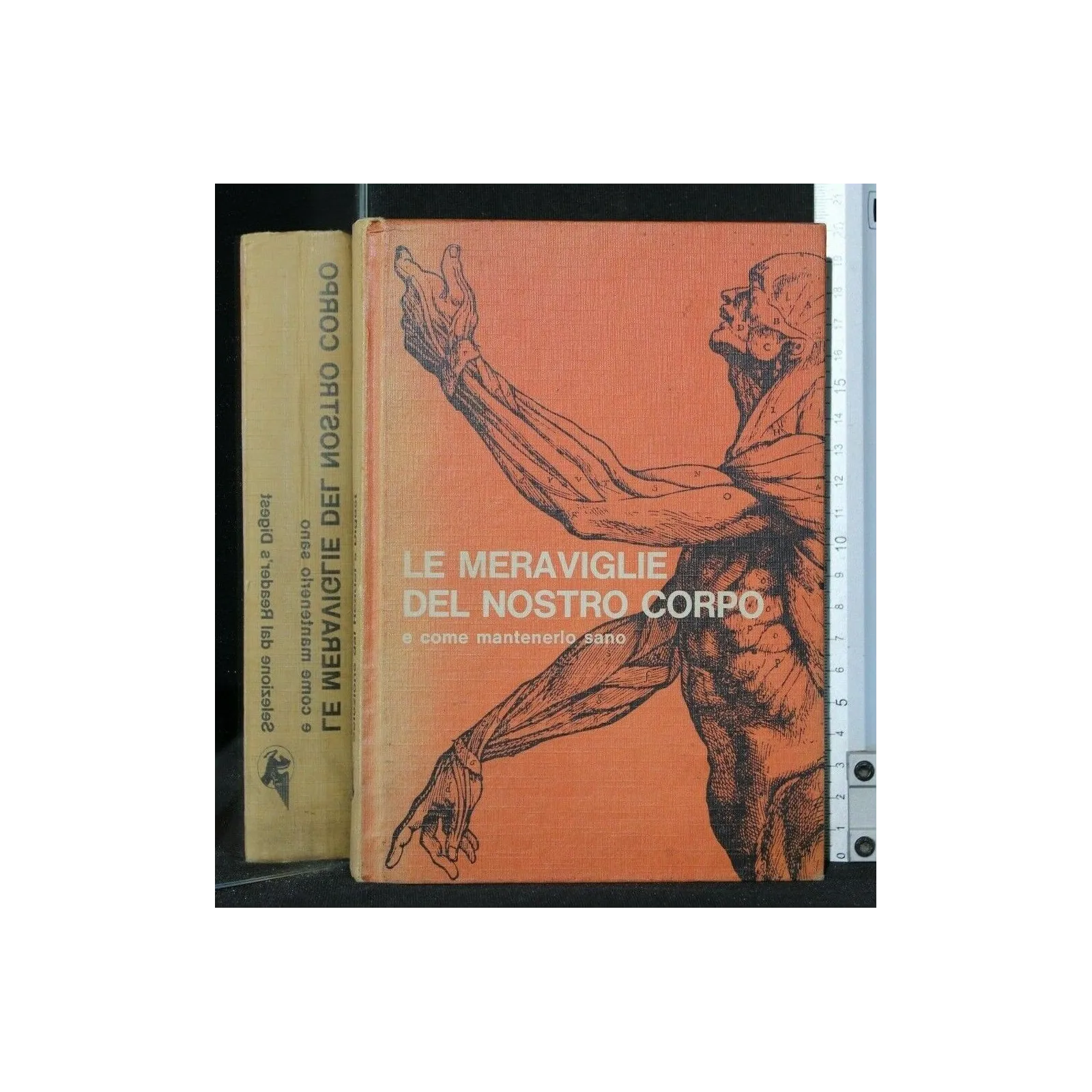 LE MERAVIGLIE DEL NOSTRO CORPO E COME MANTENERLO SANO