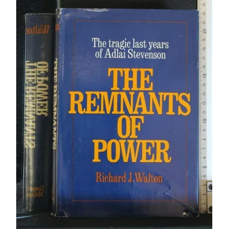 THE REMINANTS OF POWER