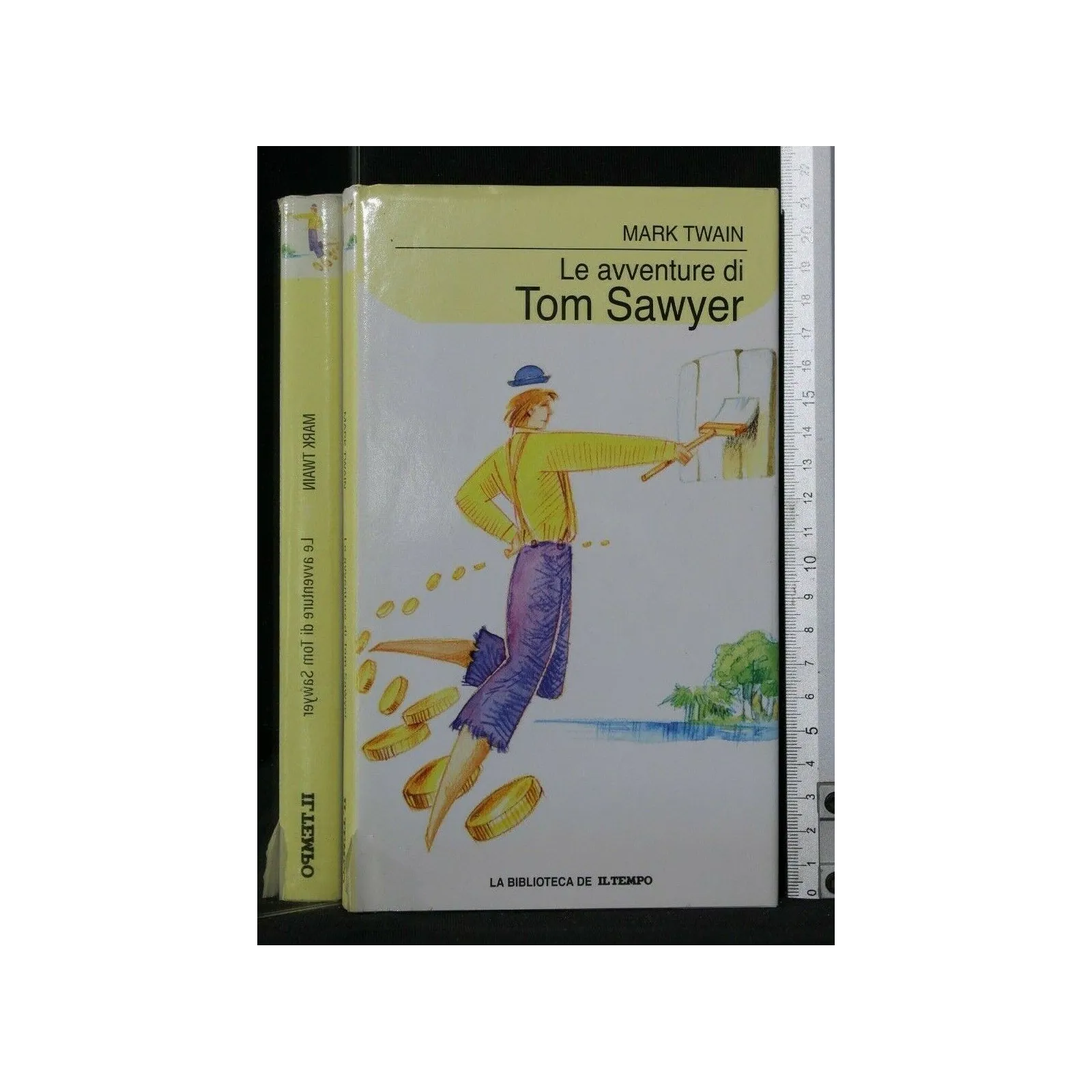 BIBLIOTECA IL TEMPO LE AVVENTURE DI TOM SAWYER