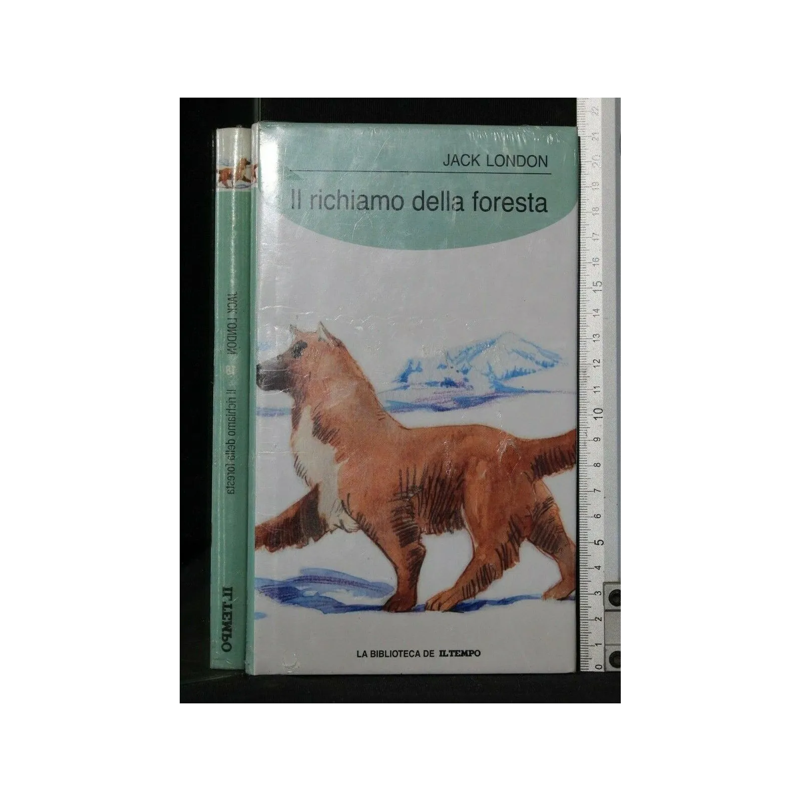 BIBLIOTECA IL TEMPO IL RICHIAMO DELLA FORESTA