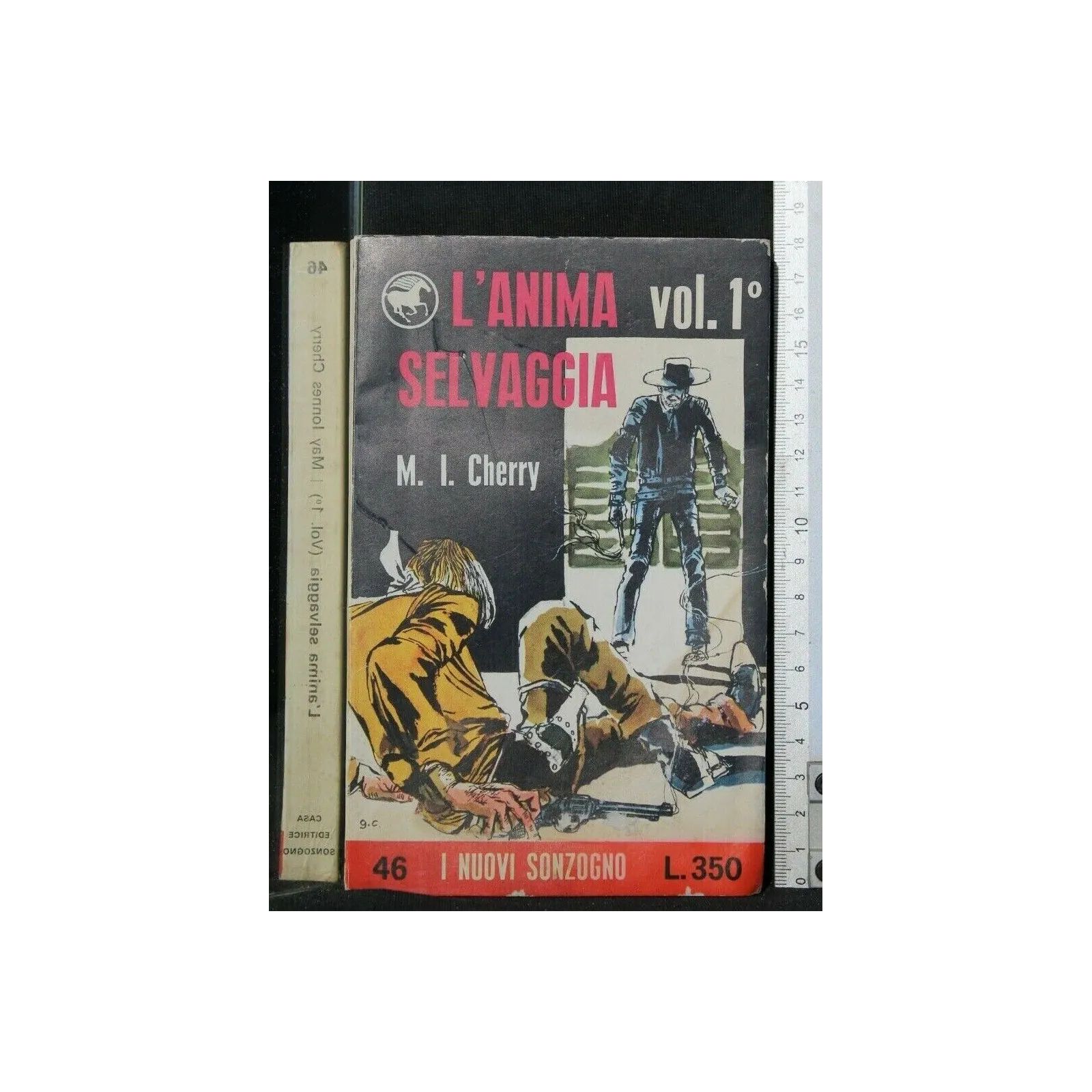 L'ANIMA SELVAGGIA VOL. 1