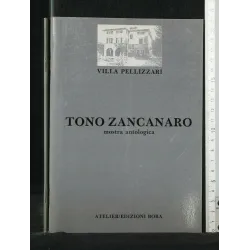 TONO ZANCANARO MOSTRA ANTOLOGICA