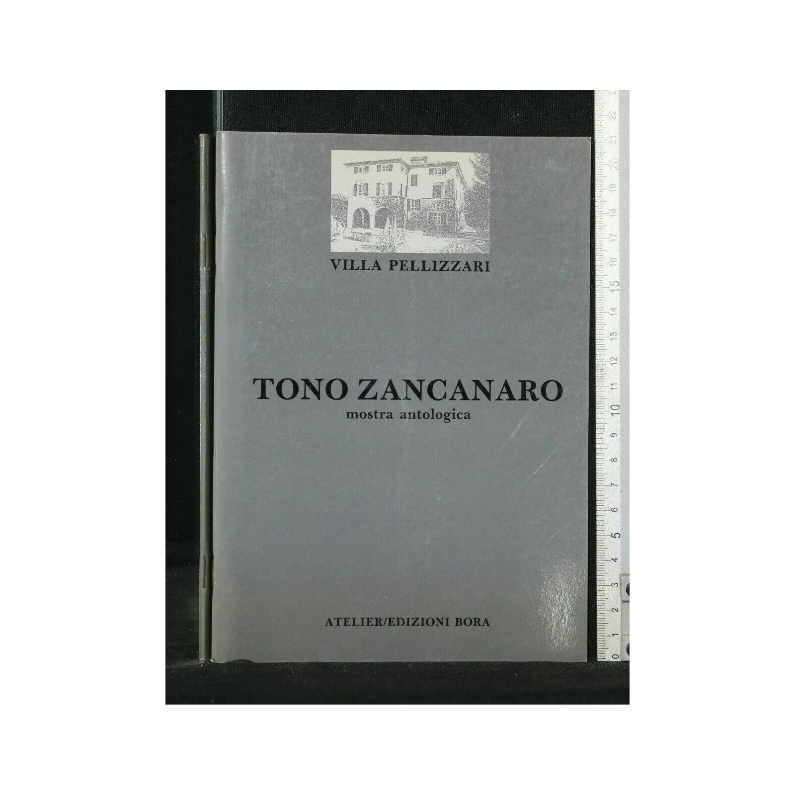 TONO ZANCANARO MOSTRA ANTOLOGICA