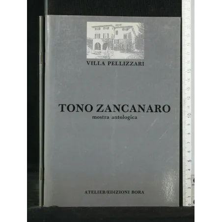 TONO ZANCANARO MOSTRA ANTOLOGICA
