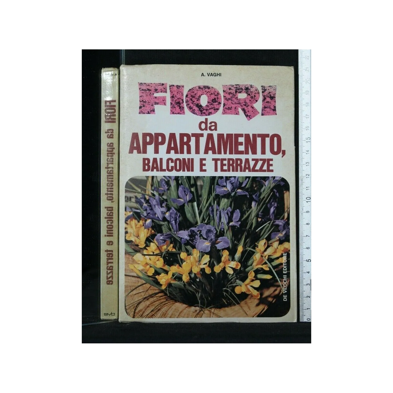 FIORI DA APPARTAMENTO, BALCONI E TERRAZZE