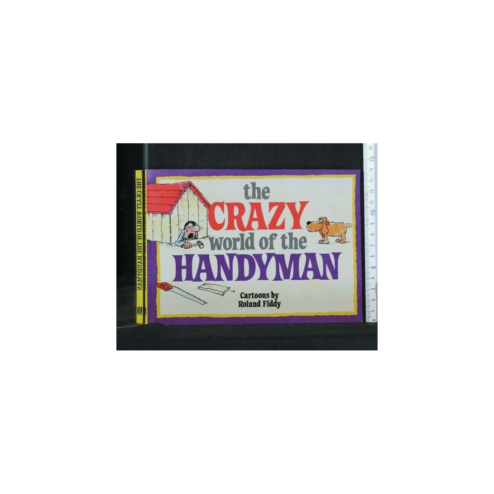 THE CRAZY WORLD OF THE HANDYMAN