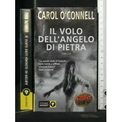 IL VOLO DELL'ANGELO DI PIETRA