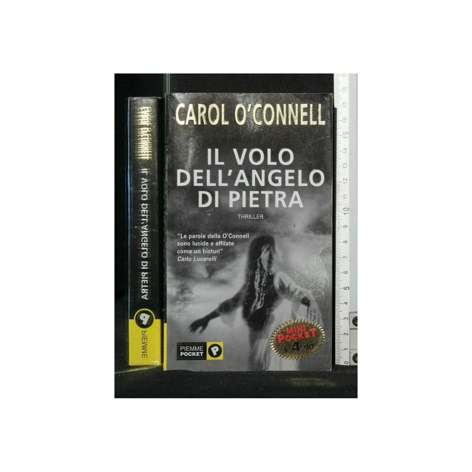 IL VOLO DELL'ANGELO DI PIETRA
