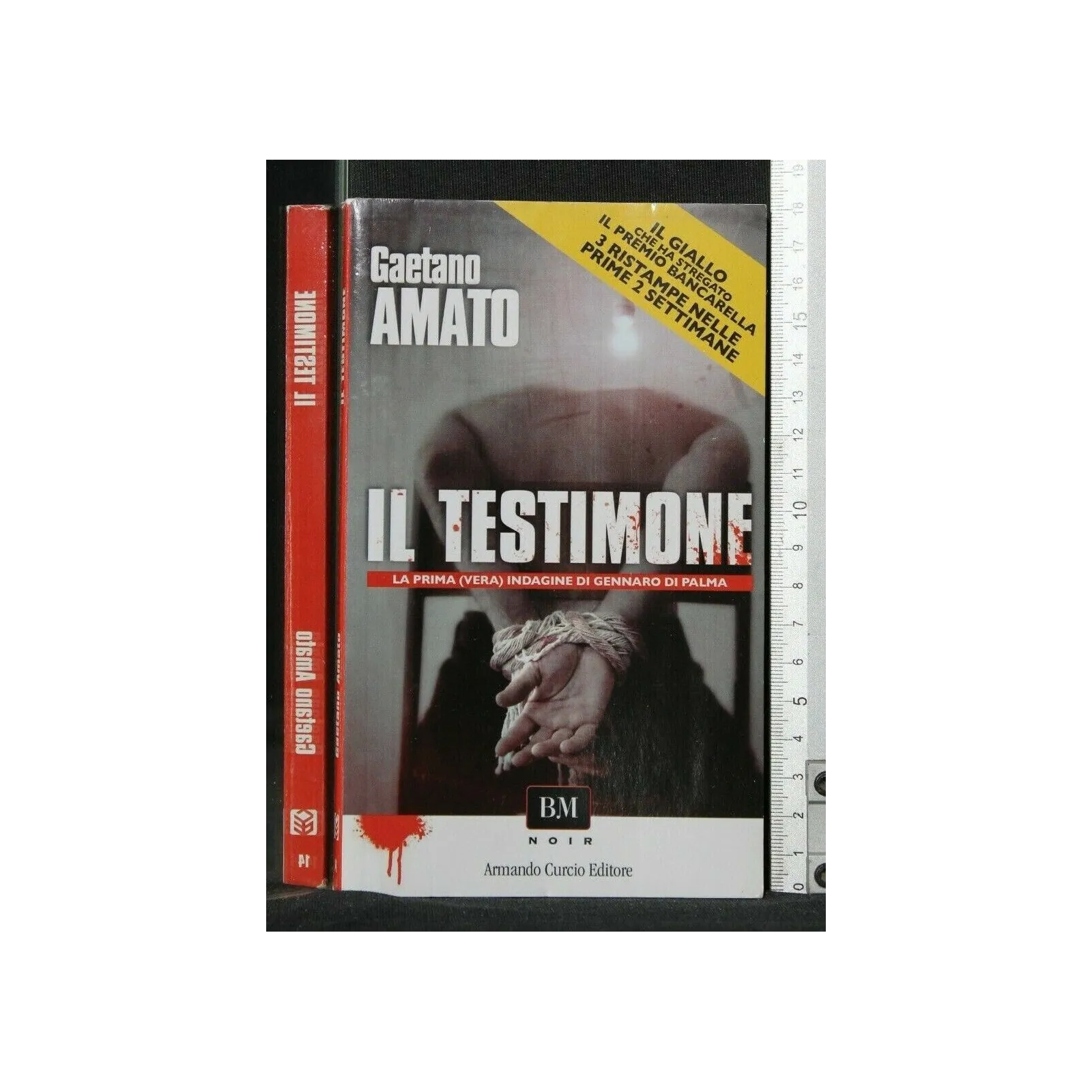 IL TESTIMONE