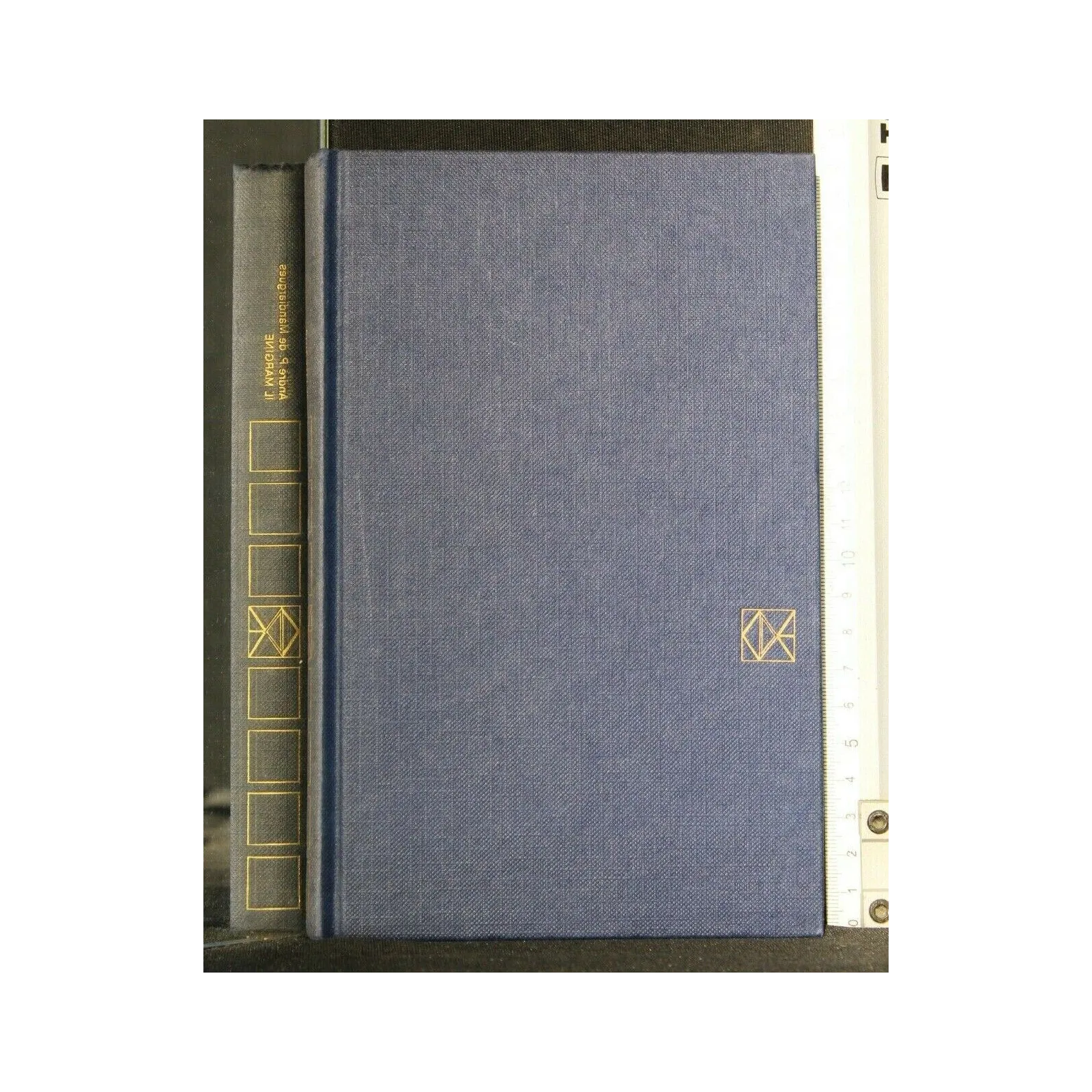 IL MARGINE