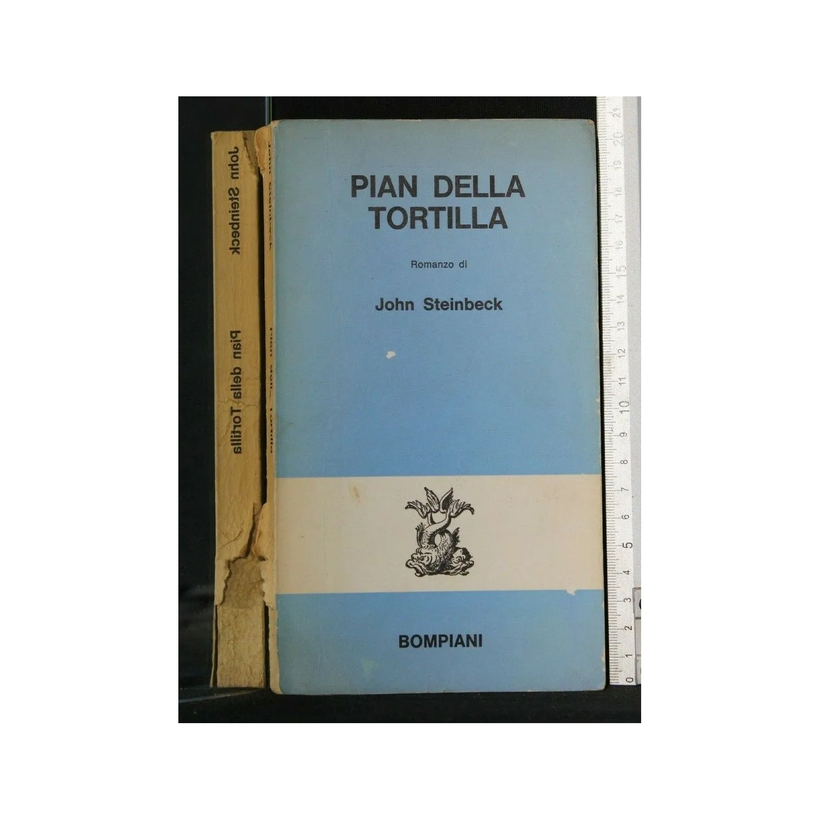PIAN DELLA TORTILLA