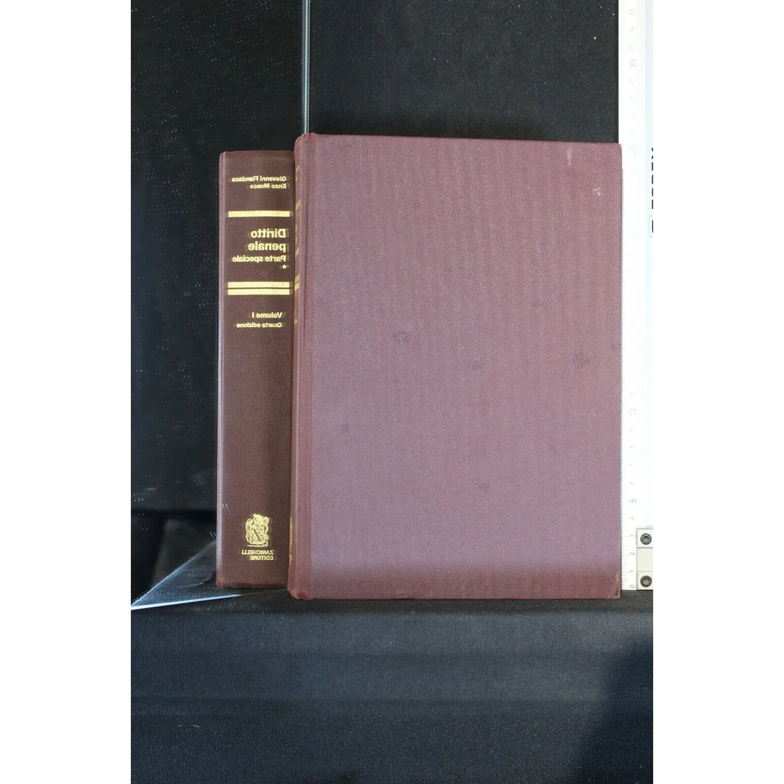 DIRITTO PENALE PARTE SPECIALE VOLUME 1