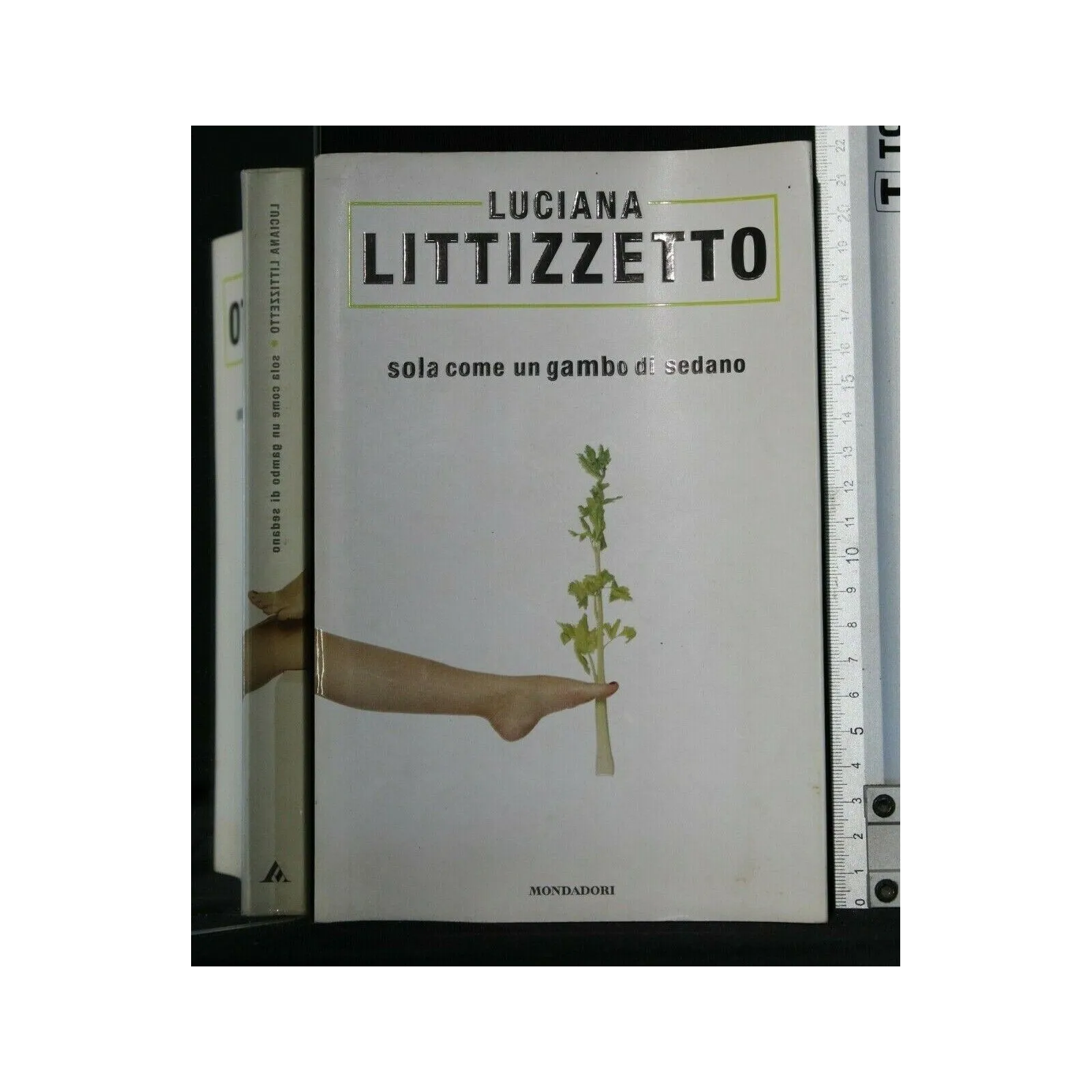 SOLA COME UN GAMBO DI SEDANO