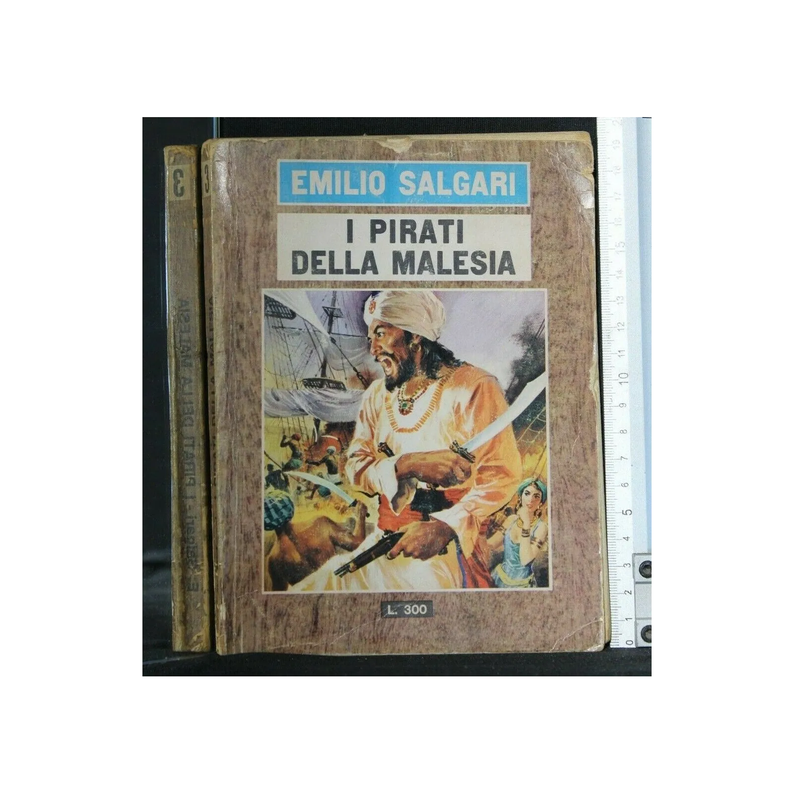 I PIRATI DELLA MALESIA