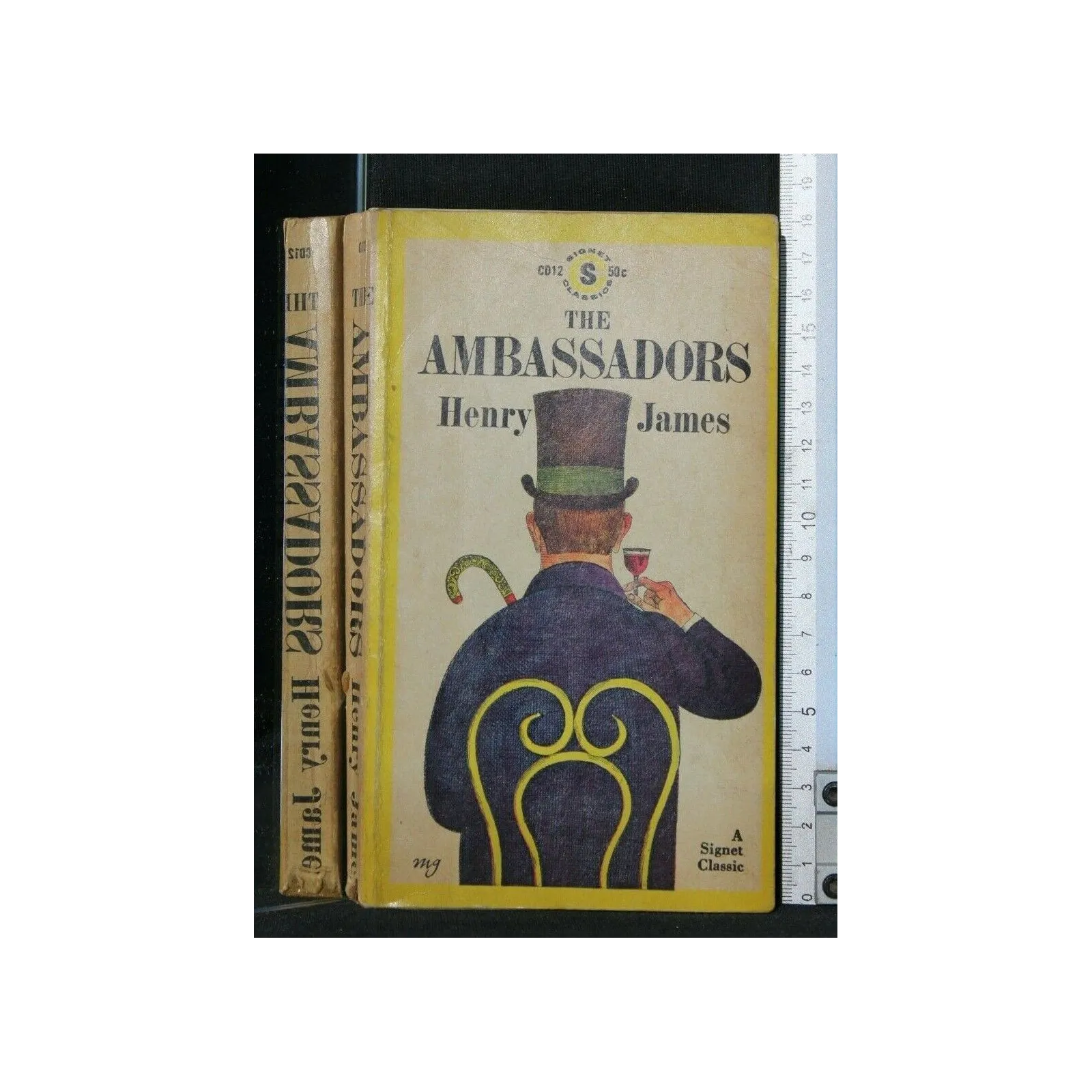 THE AMBASSADORS
