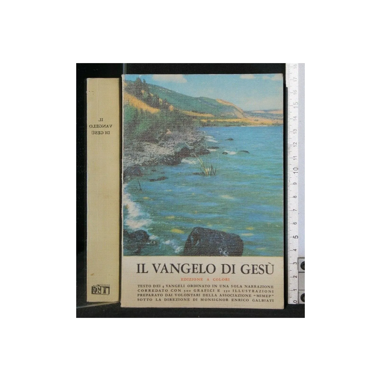 IL VANGELO DI GESU' EDIZIONE A COLORI