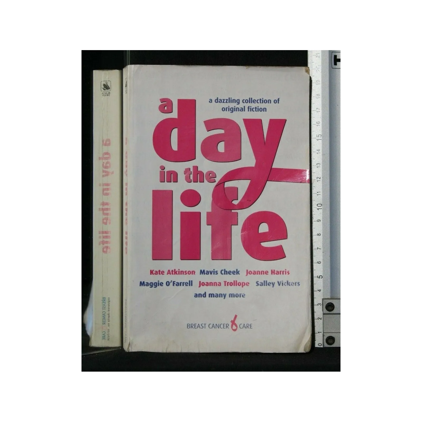 A DAY IN THE LIFE